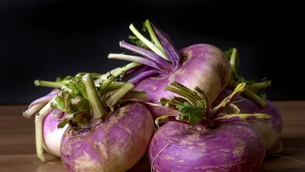 Brukiew, czyli "norweski ziemniak" jest szalenie zdrowy i całkiem smaczny, a Polacy za nim nie przepadają