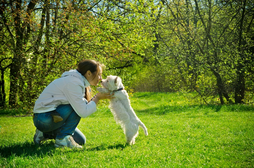 Spacer z psem to ogromna przyjemność, ale musisz znać swoje obowiązki