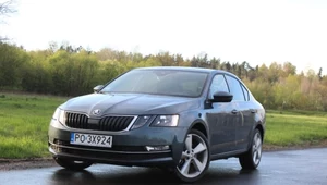 Nowa Skoda Octavia. Jaka jest naprawdę? 