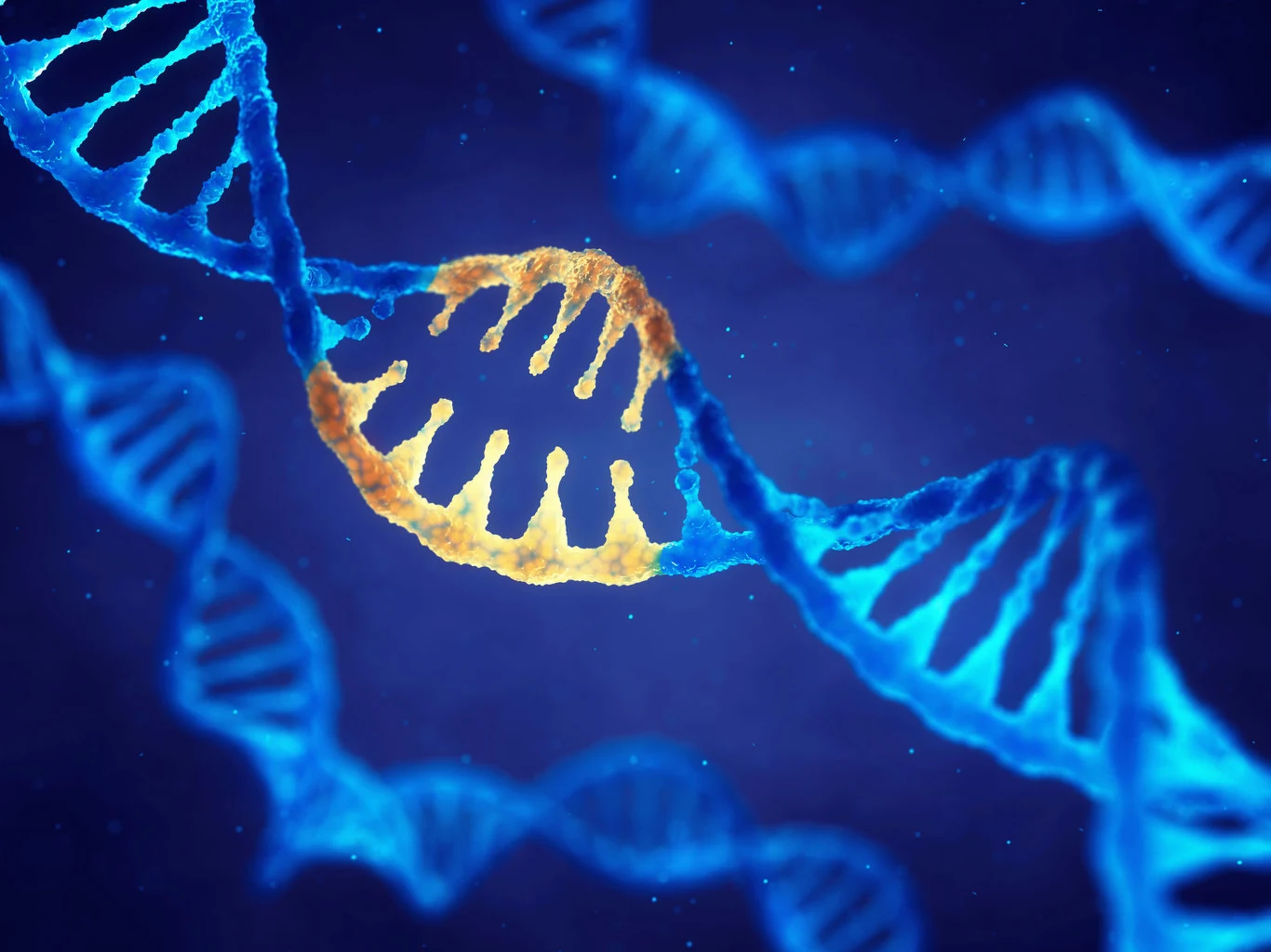 Dzięki technice CRISPR/Cas9 moż usunąć z organizmu wirusa HIV Dzięki technice CRISPR/Cas9 moż usunąć z organizmu wirusa HIV