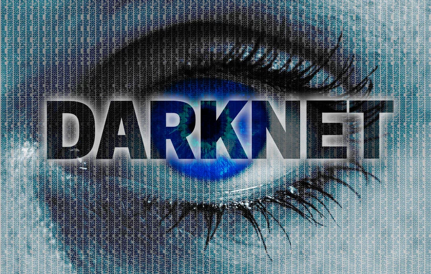 Darknet to sieć – narzędzie – które umożliwia wejście do specjalnie ukrytej części internetu, czyli dark webu. Chętnie korzystają z niej przestępcy. To właśnie tam trafiły loginy i hasła wielu polskich rolników.