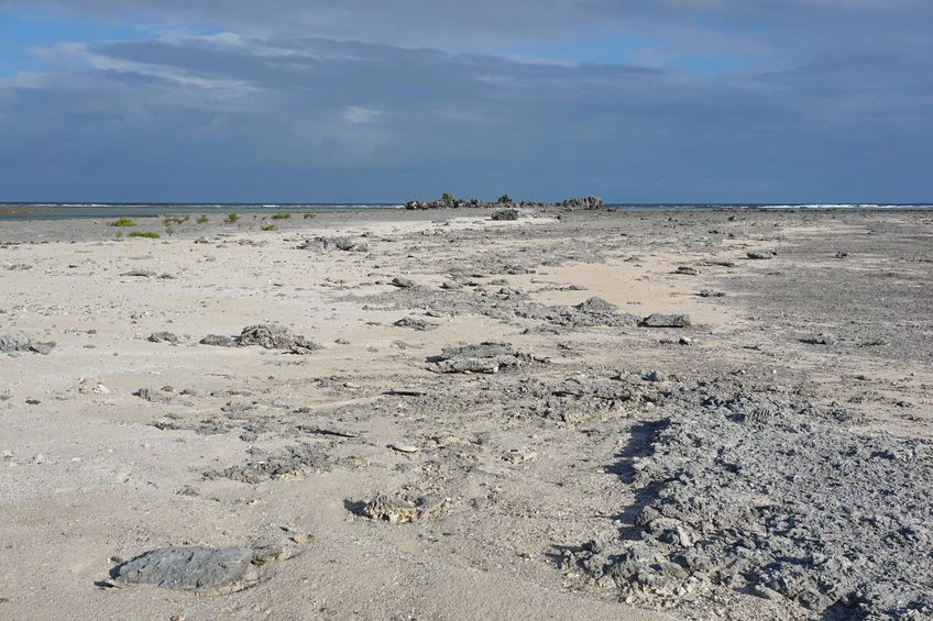 Sable Island to łacha piasku, która nieprzerwanie wędruje po chłodnych wodach Atlantyku