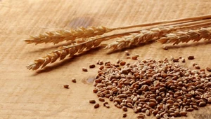 Gluten nie zwiększa ryzyka chorób serca