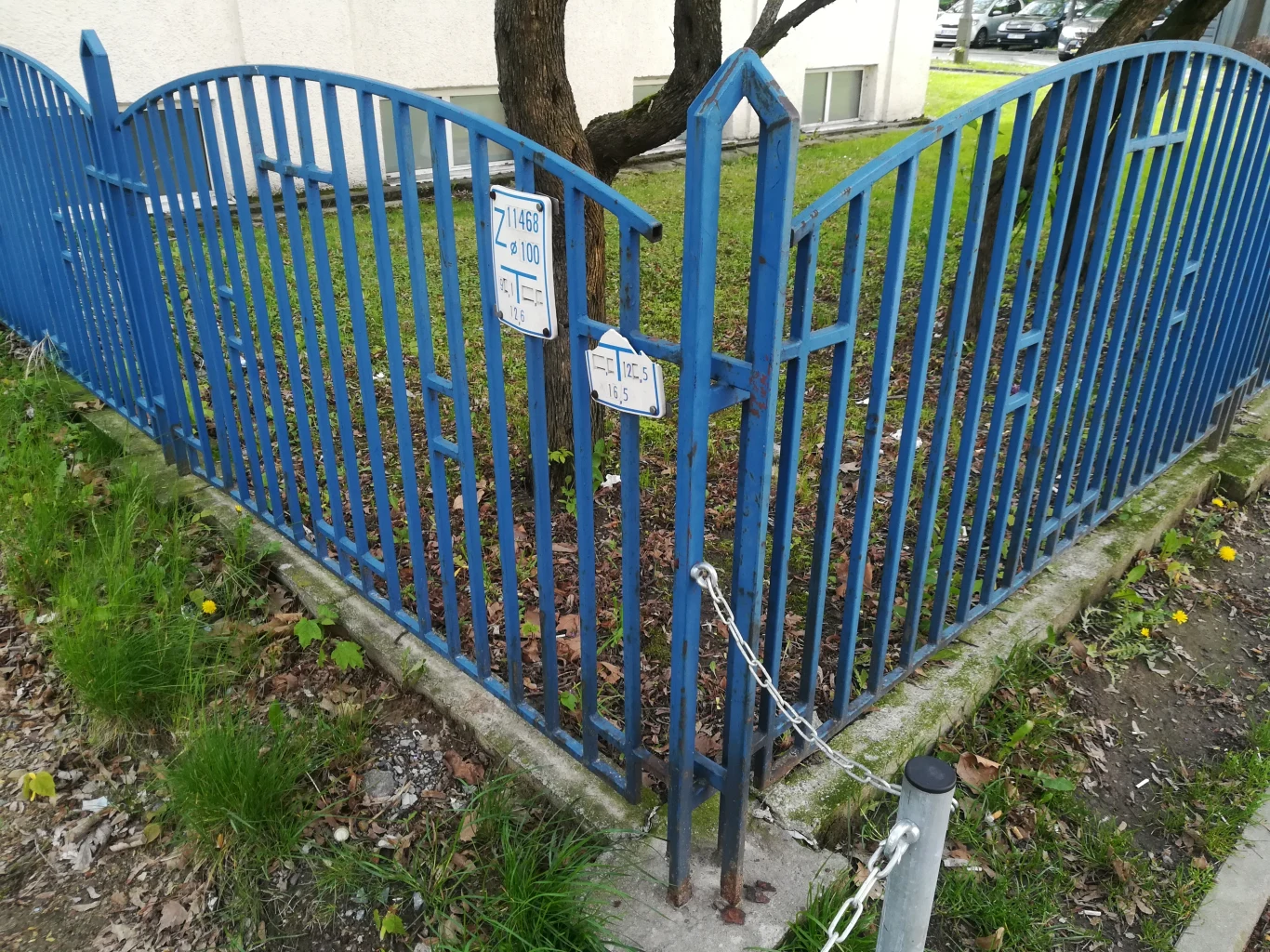 Zdjęcie zrobione smartfonem Huawei P10 Lite