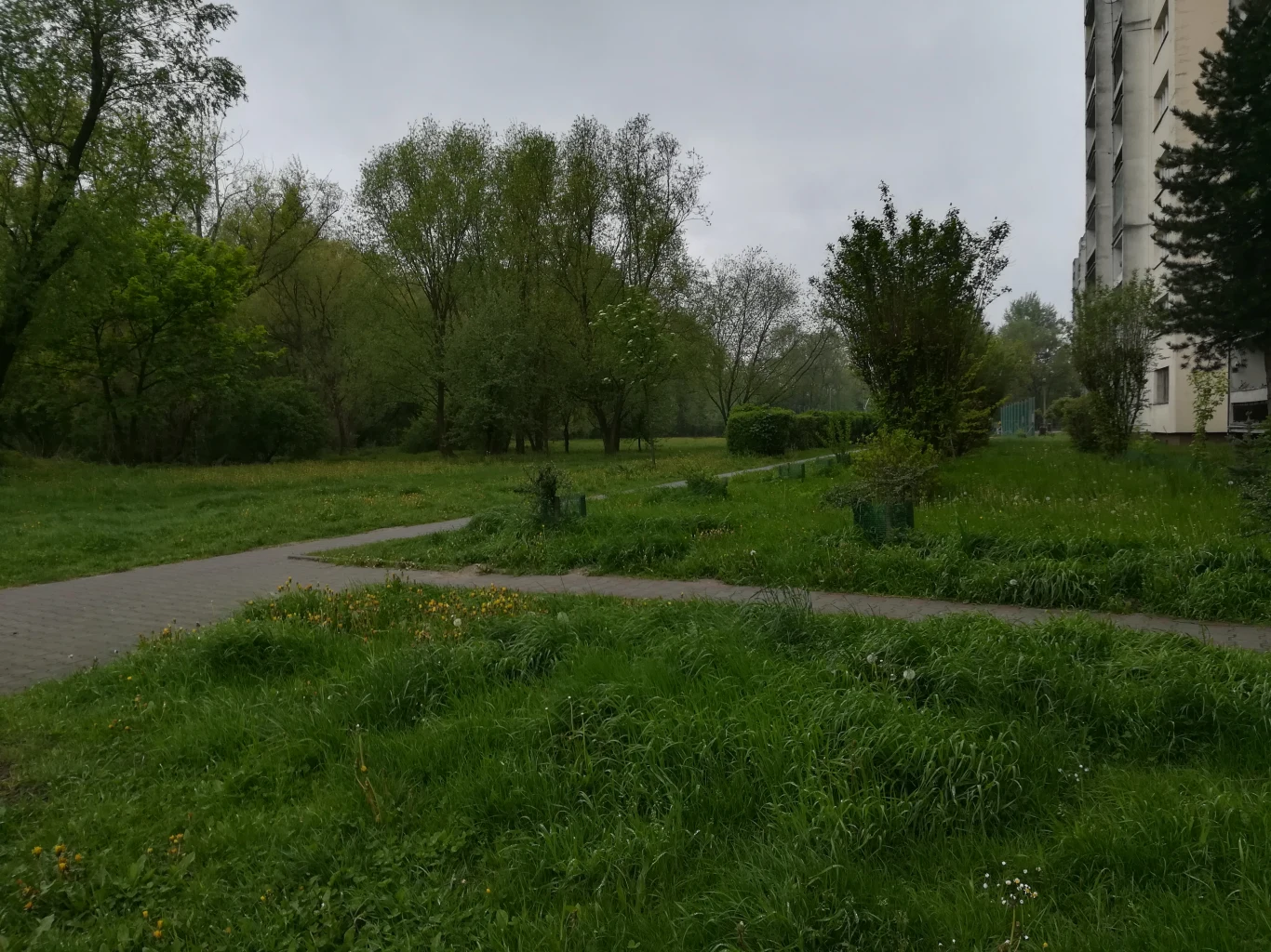 Zdjęcie zrobione smartfonem Huawei P10 Lite