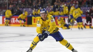 Szwed William Nylander