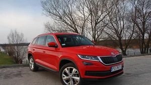 Skoda Kodiaq 1.4 TSI – skazana na sukces?