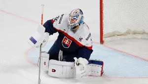 Bramkarz Słowaków - Jaroslav Janus