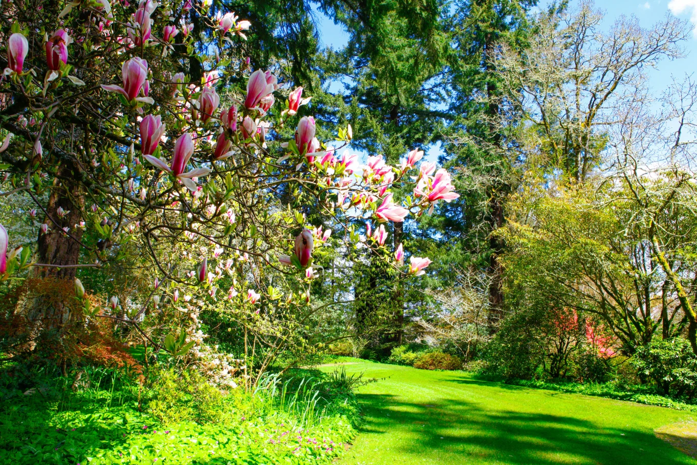 Warto zacząć przygotowywanie ogrodu do jesieni już w sierpniu