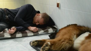 "Komisarz Alex": Zamach na Górskiego