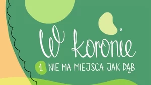 W koronie. Nie ma miejsca jak dąb