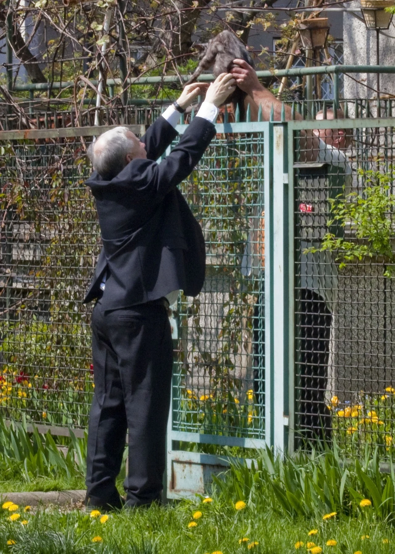 Kaczyński łapie kota