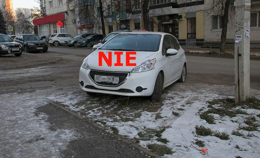 Trawnik pokryty śniegiem to nie trawnik? Trawnik pokryty śniegiem to nie trawnik?