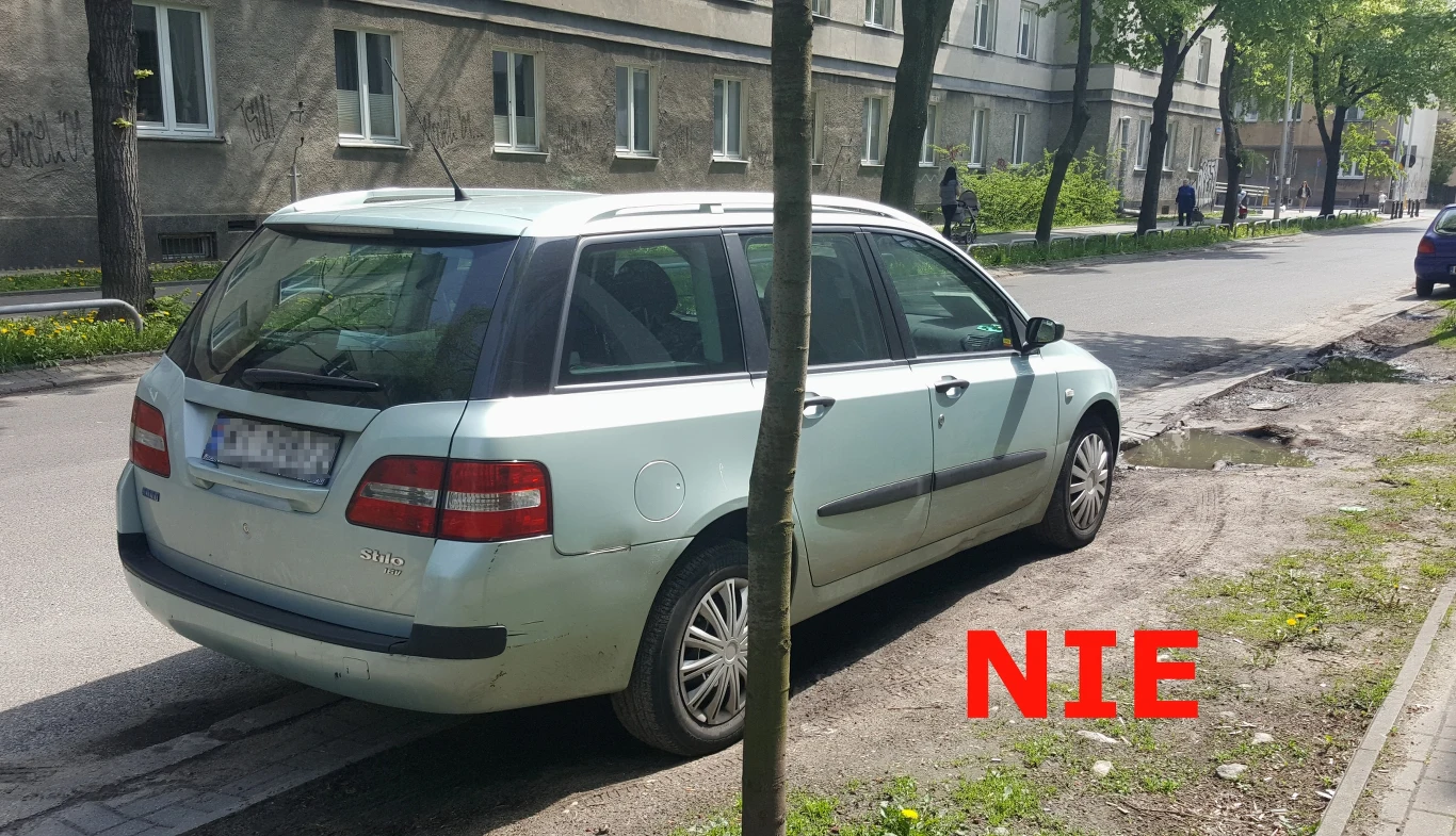 Tawnik po zimowym parkowaniu Tawnik po zimowym parkowaniu