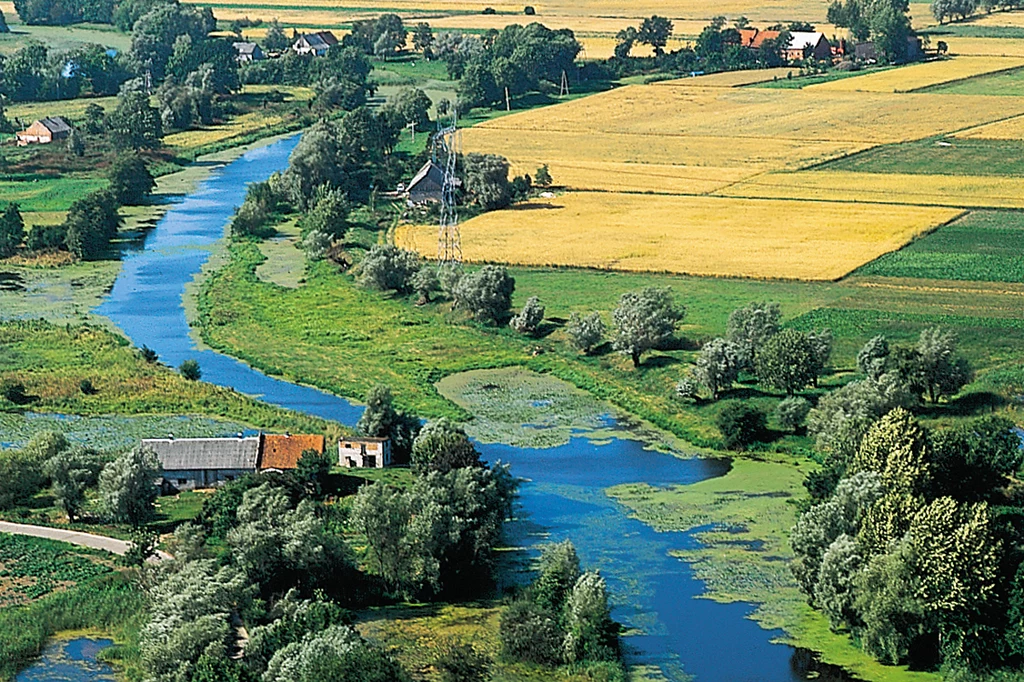 Żuławy Wislane, fot. L. Zielaskowski