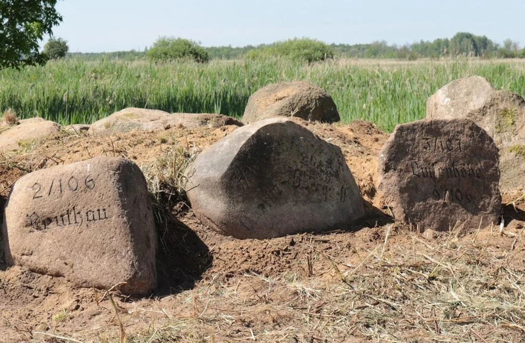 Kamienie odkryte koło Przemkowa