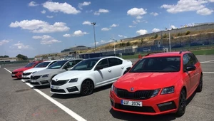 Skoda Octavia RS 245