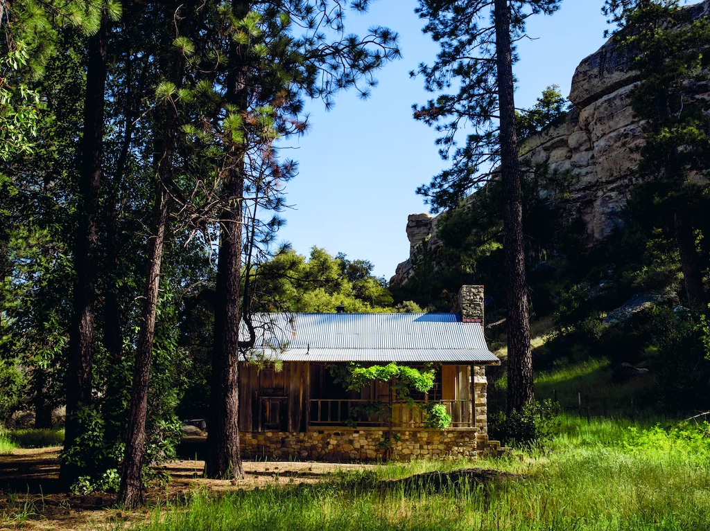 Tytuł: „Cabin Porn. Podróż przez marzenia, lasy i chaty na krańcach świata”. Autorzy: Zach Klein, Steven Leckart, Noah Kalina. Przekład: Ewa Wojtych. Premiera: 24 maja 2017. Wydawnictwo Smak Słowa
