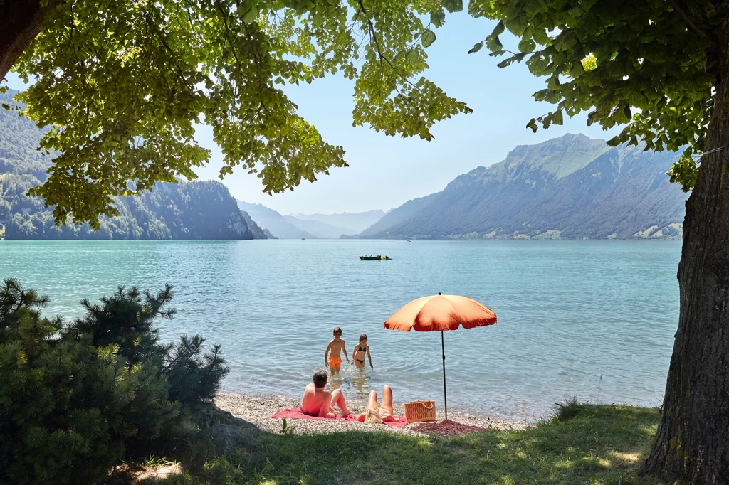 Camping Aaregg, z którego roztacza się widok na jezioro Brienzersee i Oberland Berneński Bergwelt. 