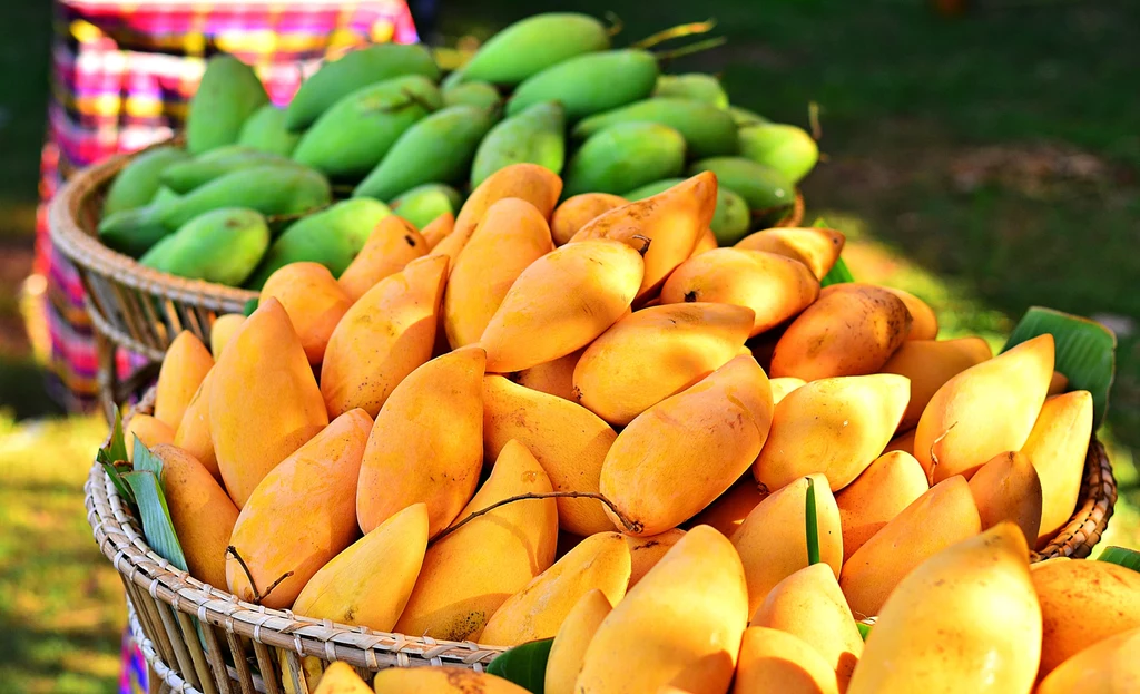 Afrykańskie mango redukuje tkankę tłuszczową w okolicach bioder! 