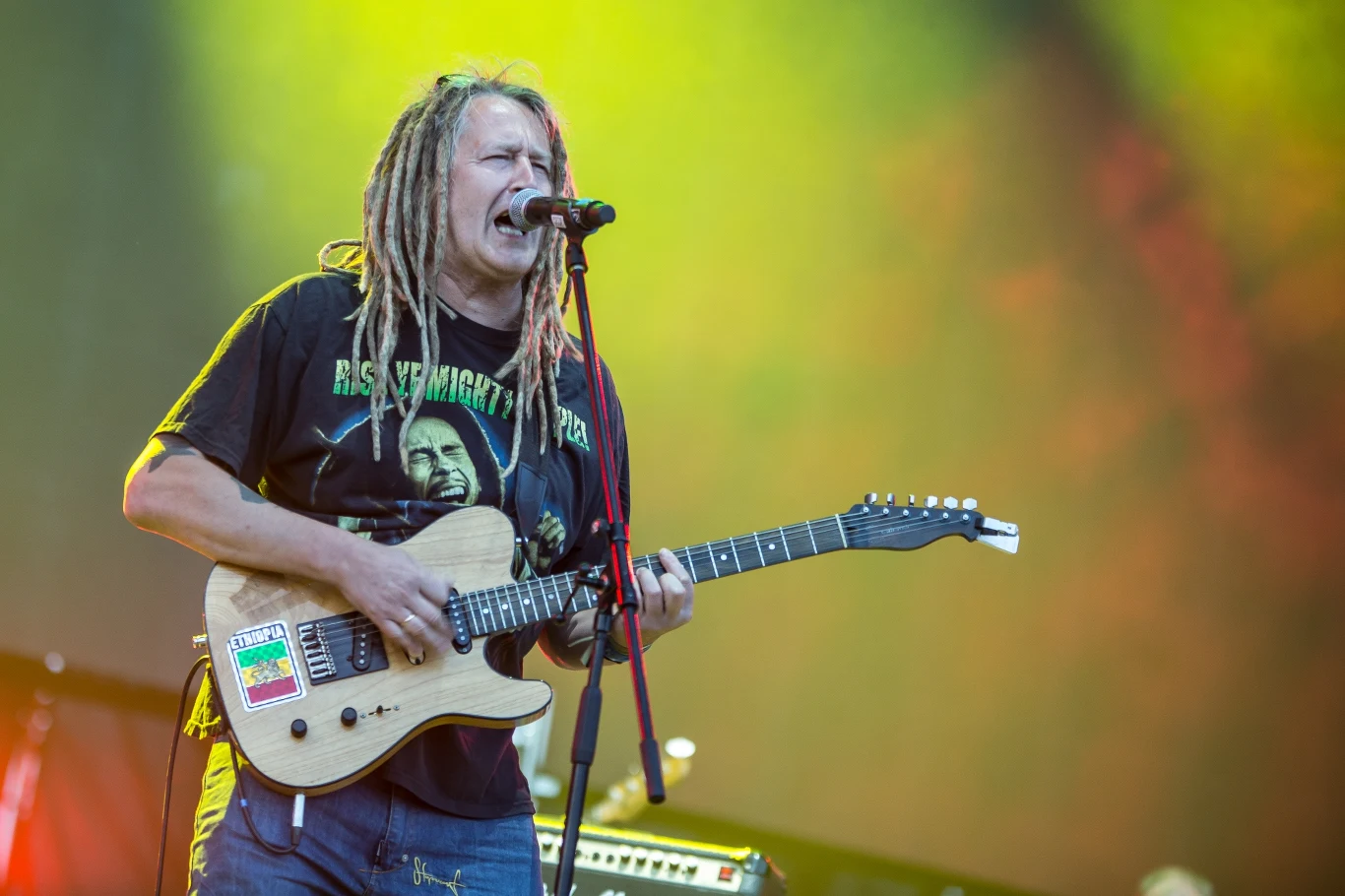 Maleo Reggae Rockers