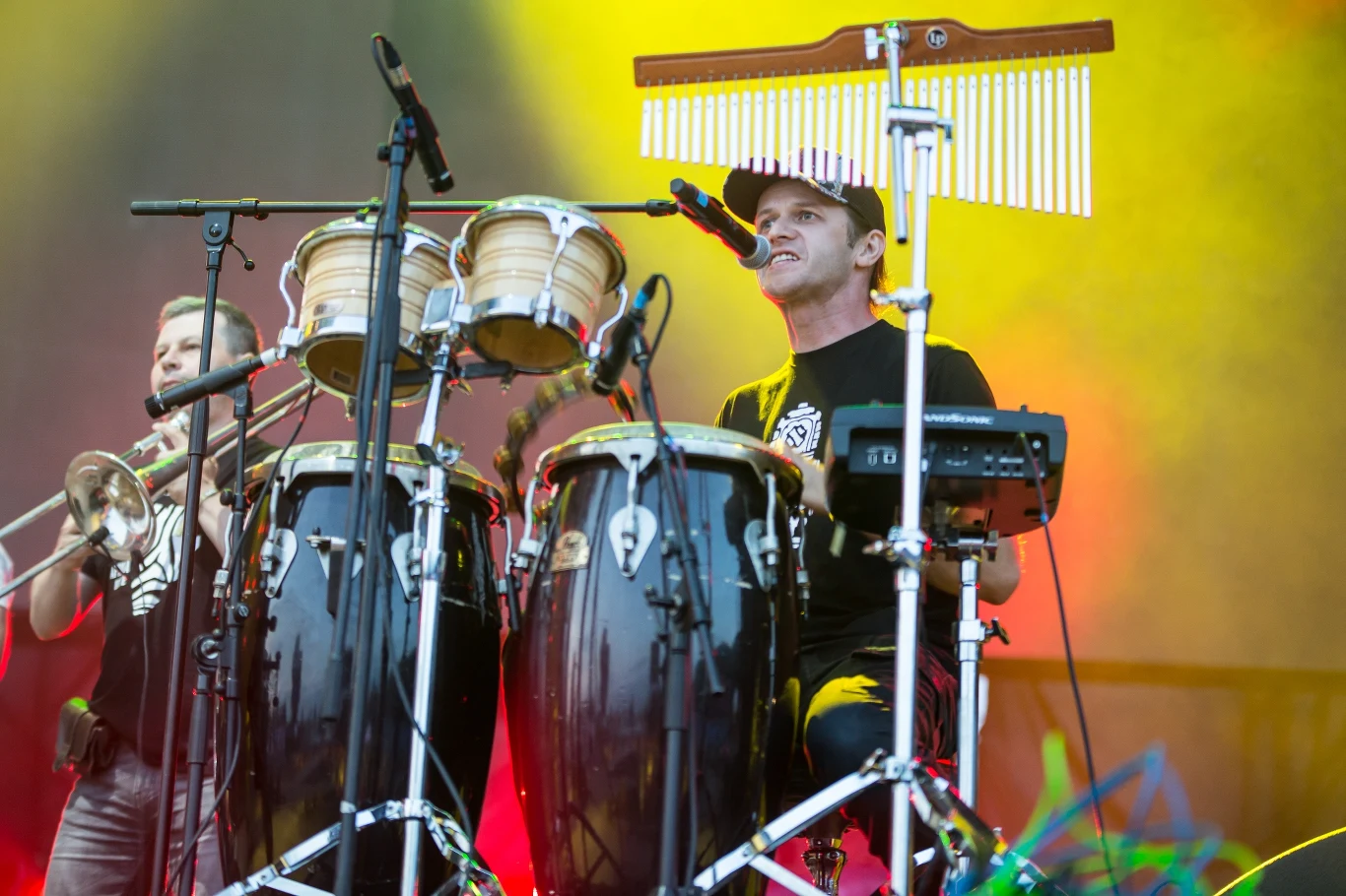 Maleo Reggae Rockers