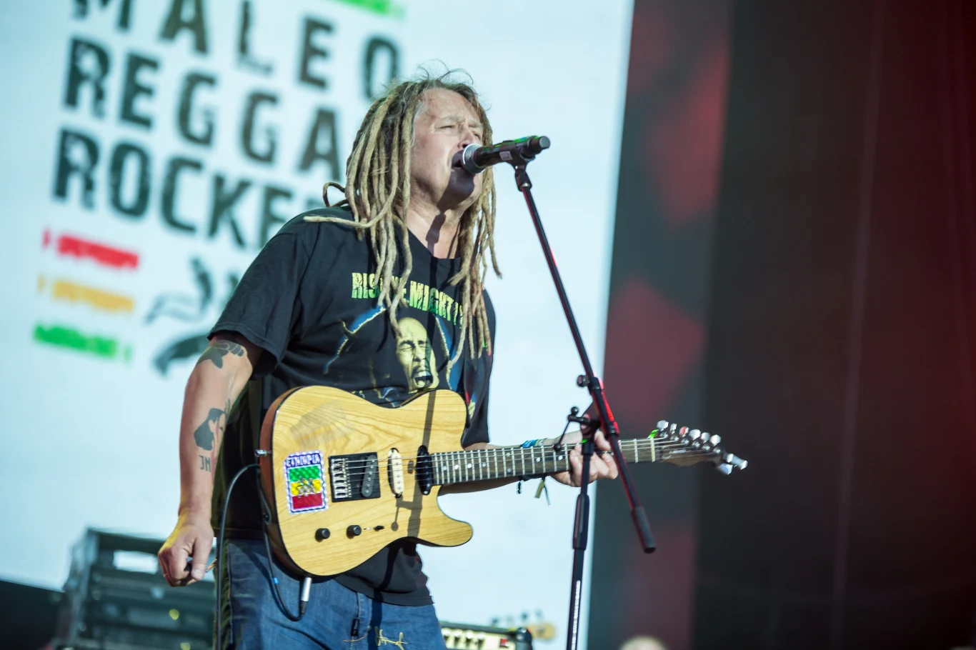 Maleo Reggae Rockers