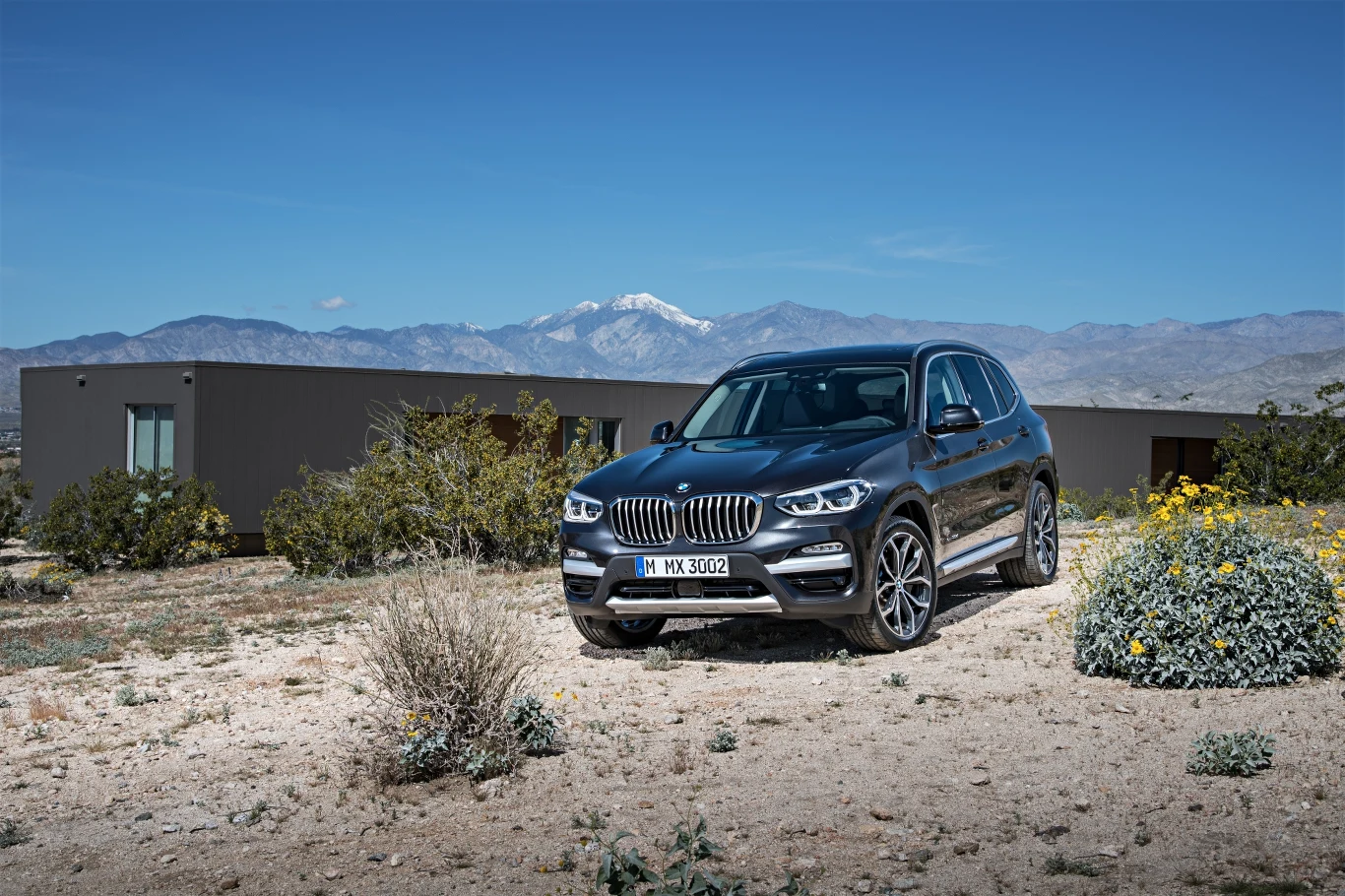 BMW X3 xDrive30d xLine