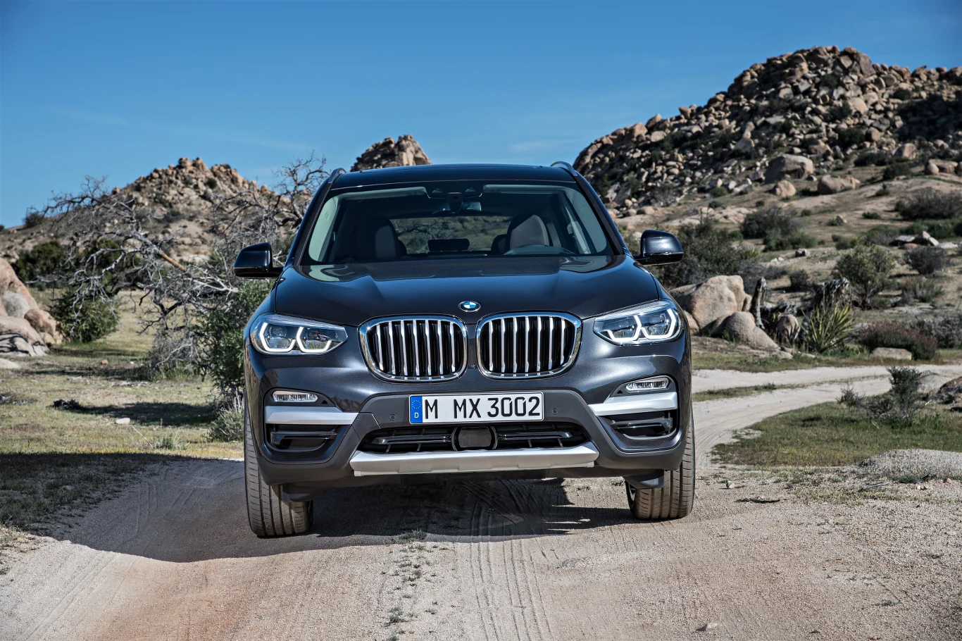 BMW X3 xDrive30d xLine