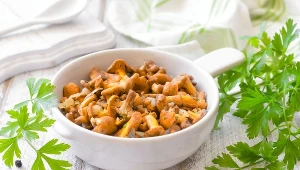 Tak zrobisz najsmaczniejszy sos kurkowy. Idealny do mięsa i klusek