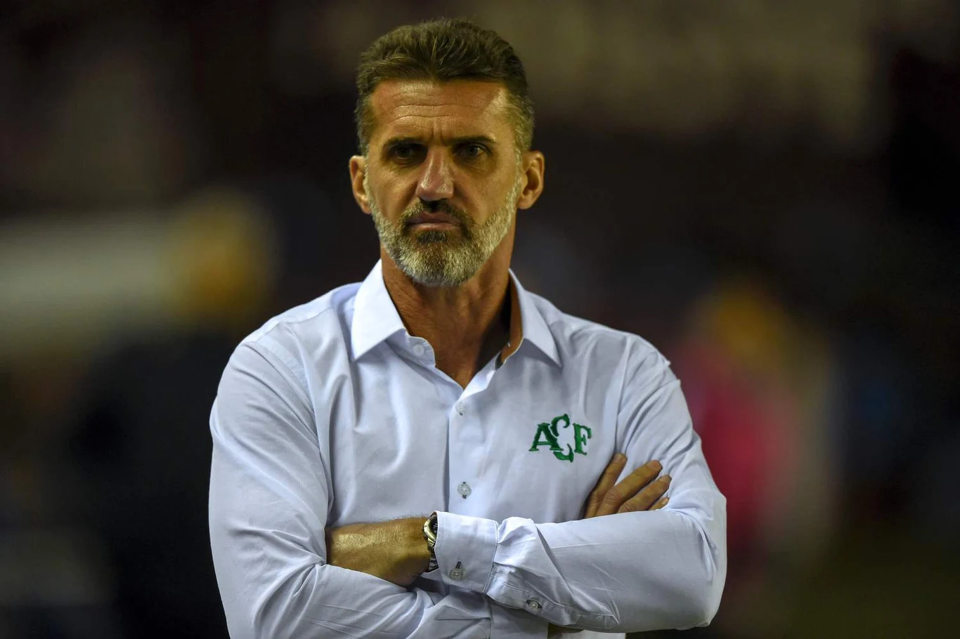 Vagner Mancini Vagner Mancini