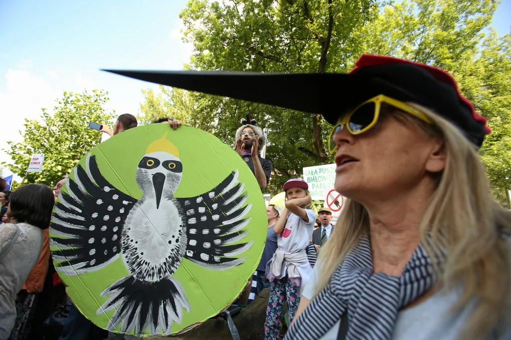 Kilka dni temu w Krakowie protestowano przeciwko wycince Puszczy Białowieskiej