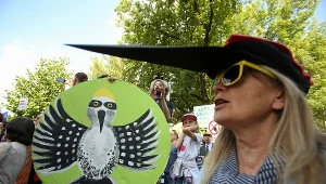 Kilka dni temu w Krakowie protestowano przeciwko wycince Puszczy Białowieskiej