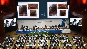 Komitet Światowego Dziedzictwa Kulturowego UNESCO 