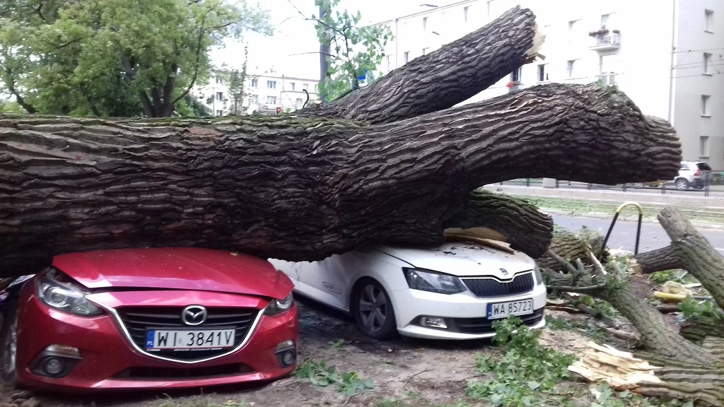 Największym zagrożeniem w czasie burzy są nie pioruny, ale silny wiatr