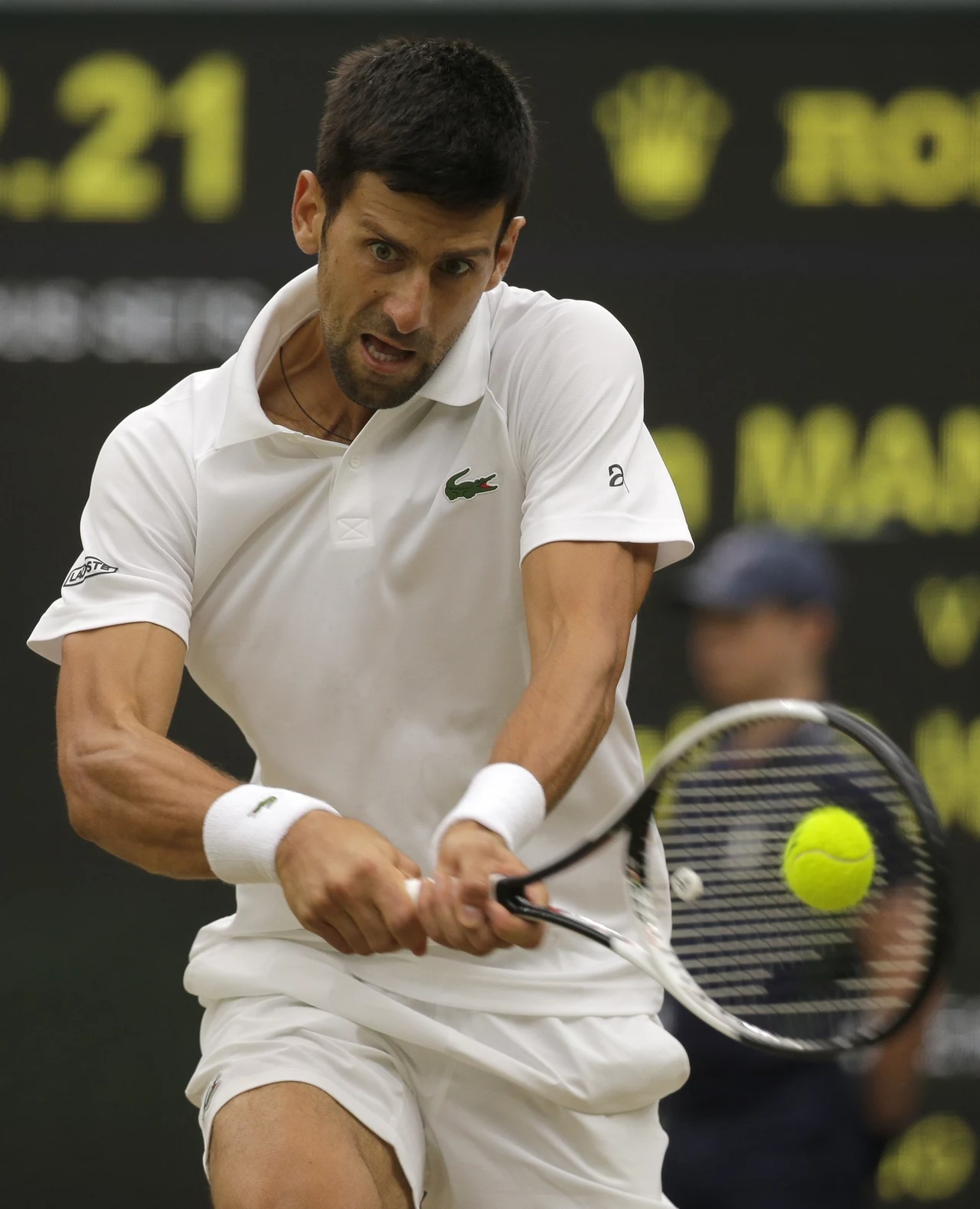 Novak Djoković