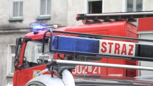 Zdjęcie ilustracyjne