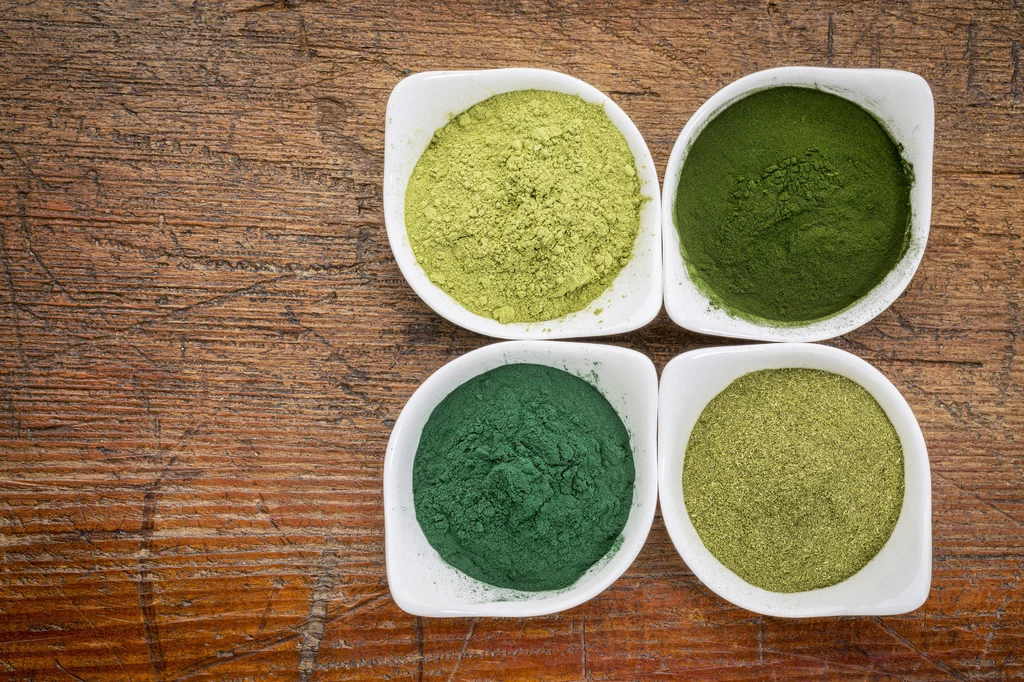 Młody jęczmień, spirulina, chlorella, liście moringa