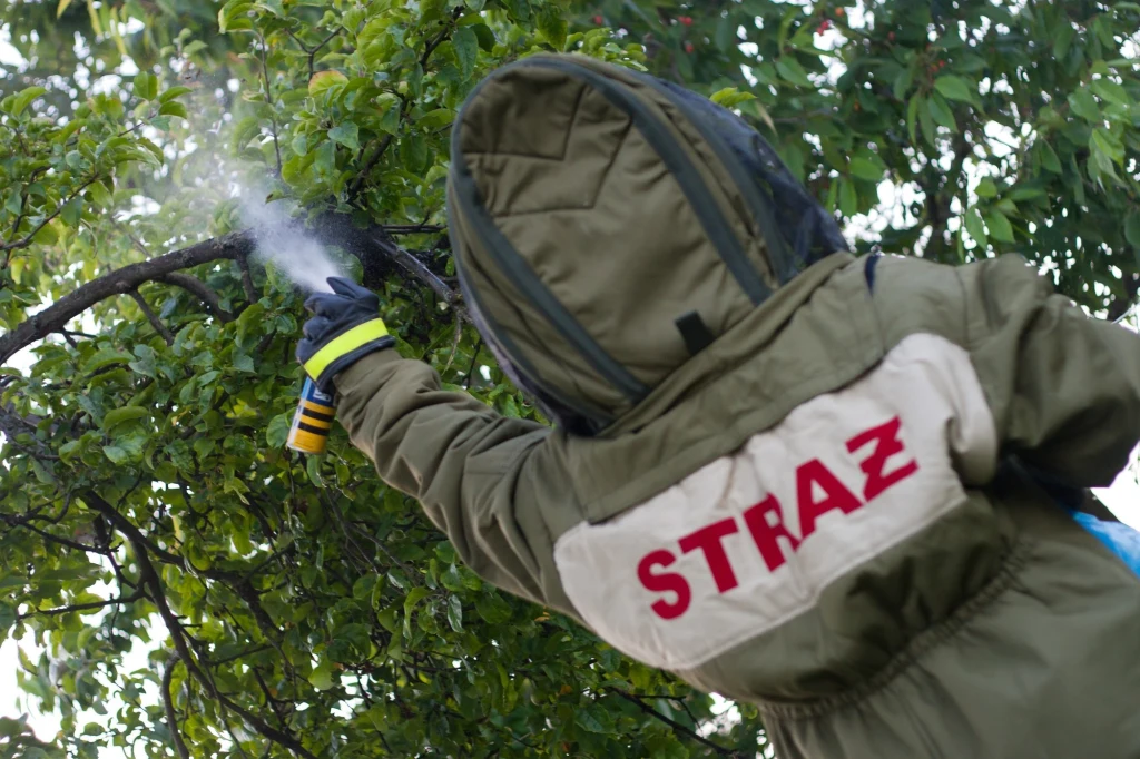 Zdjęcie ilustracyjne Zdjęcie ilustracyjne