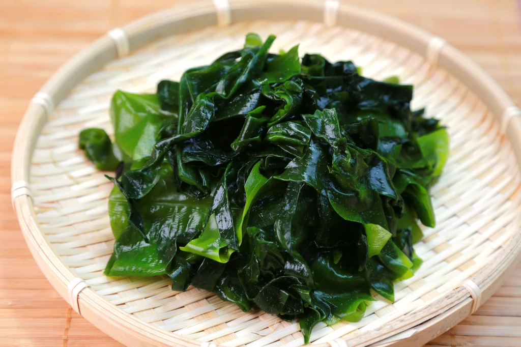 Glony wakame