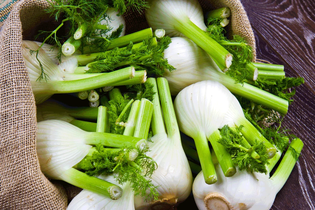 Domowy koperek w kuchni urozmaici smak wielu dań