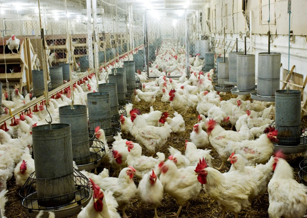 Zdjęcie ilustracyjne Zdjęcie ilustracyjne