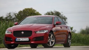 Jaguar XE 25d AWD R-Sport - świetnie wypełnia niszę