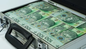 ​4000 złotych na inwestycję w ogrodzie. Sprawdź, czy możesz dostać