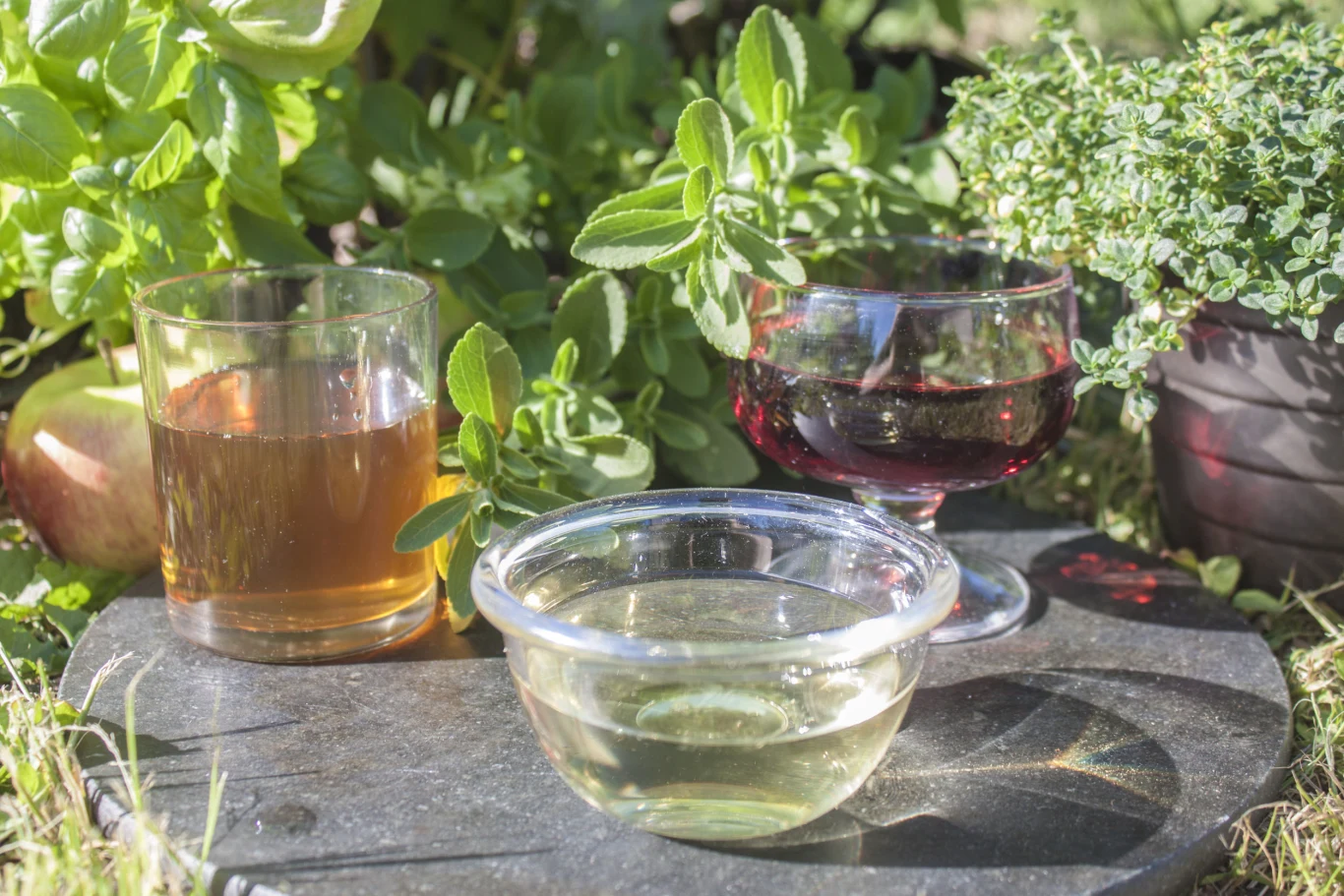 Dzięki tej drobnej pułapce odstraszysz mole na zawsze