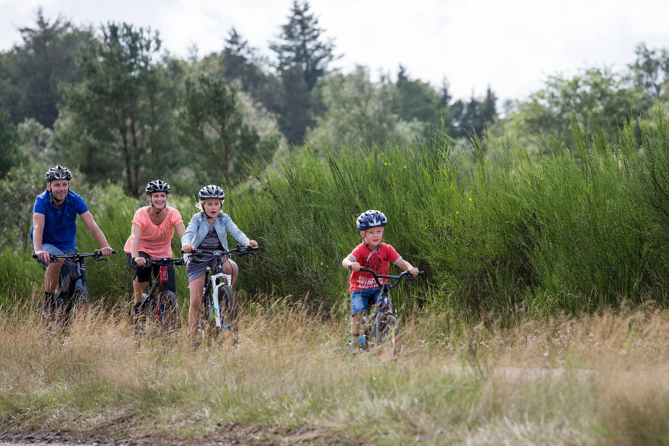 Rusz na wyprawę rowerową w Vejle