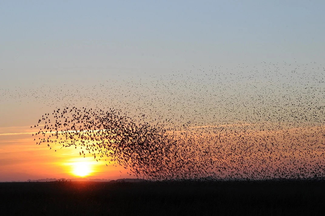 Wadden Sea National Park