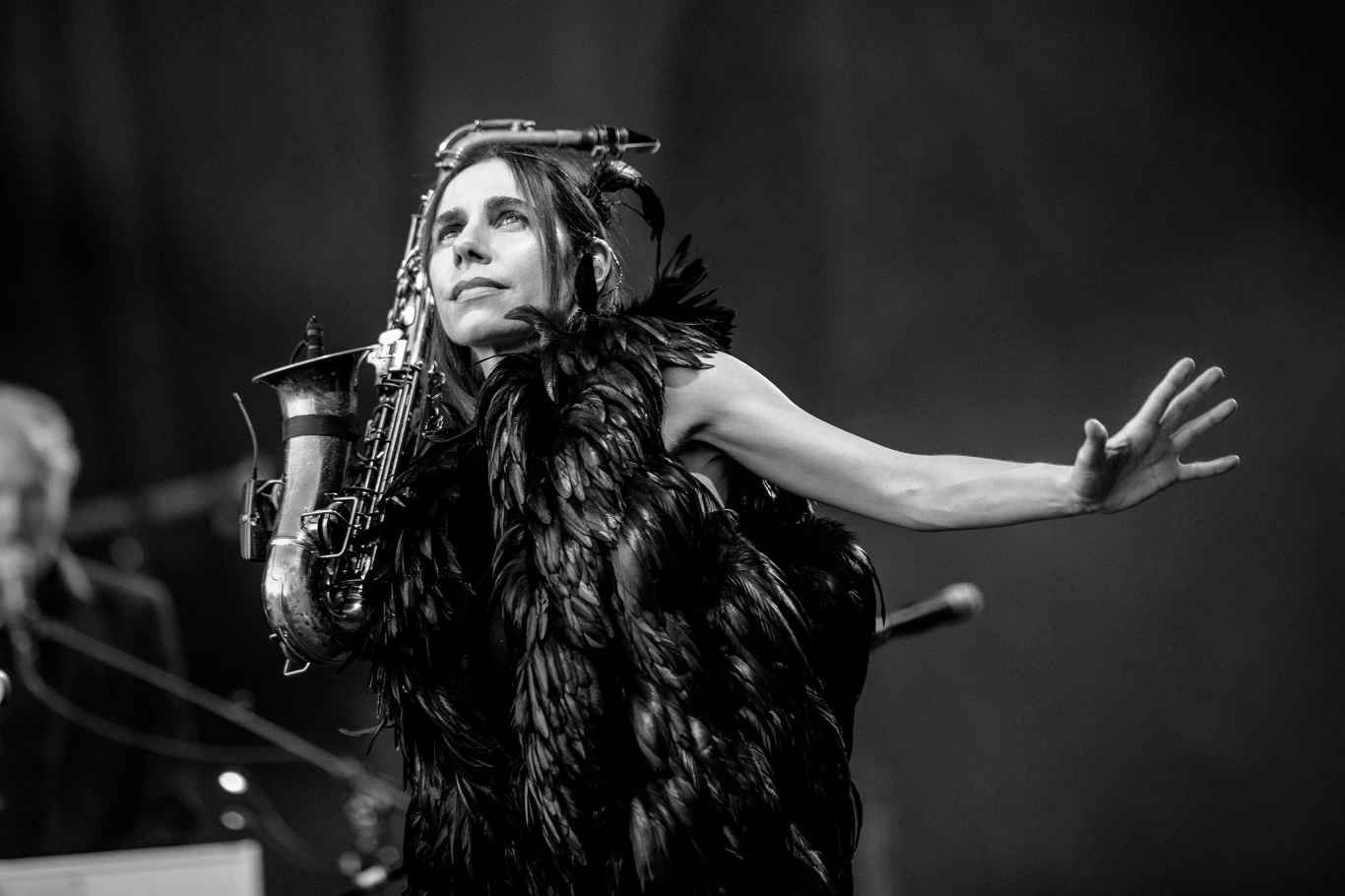 PJ Harvey PJ Harvey