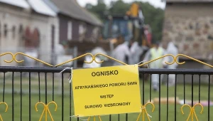 Ogniska ASF w Podlaskiem i Lubelskiem