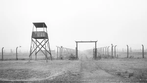 Blisko 13 tys. mieszkańców Warszawy, w tym dzieci, kobiety w ciąży i starcy, zostało deportowanych przez Niemców do Auschwitz po wybuchu w stolicy powstania